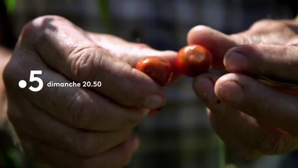 La fin du temps des cerises   - 29 avril
