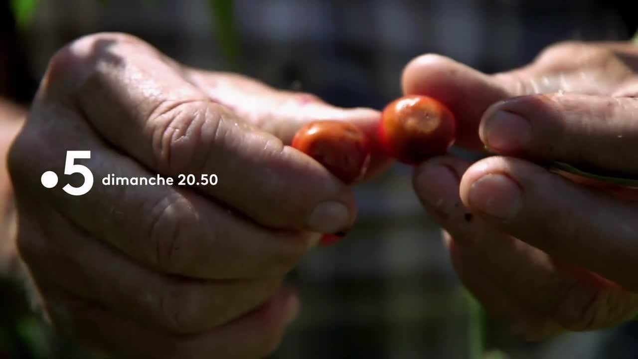 La fin du temps des cerises   - 29 avril