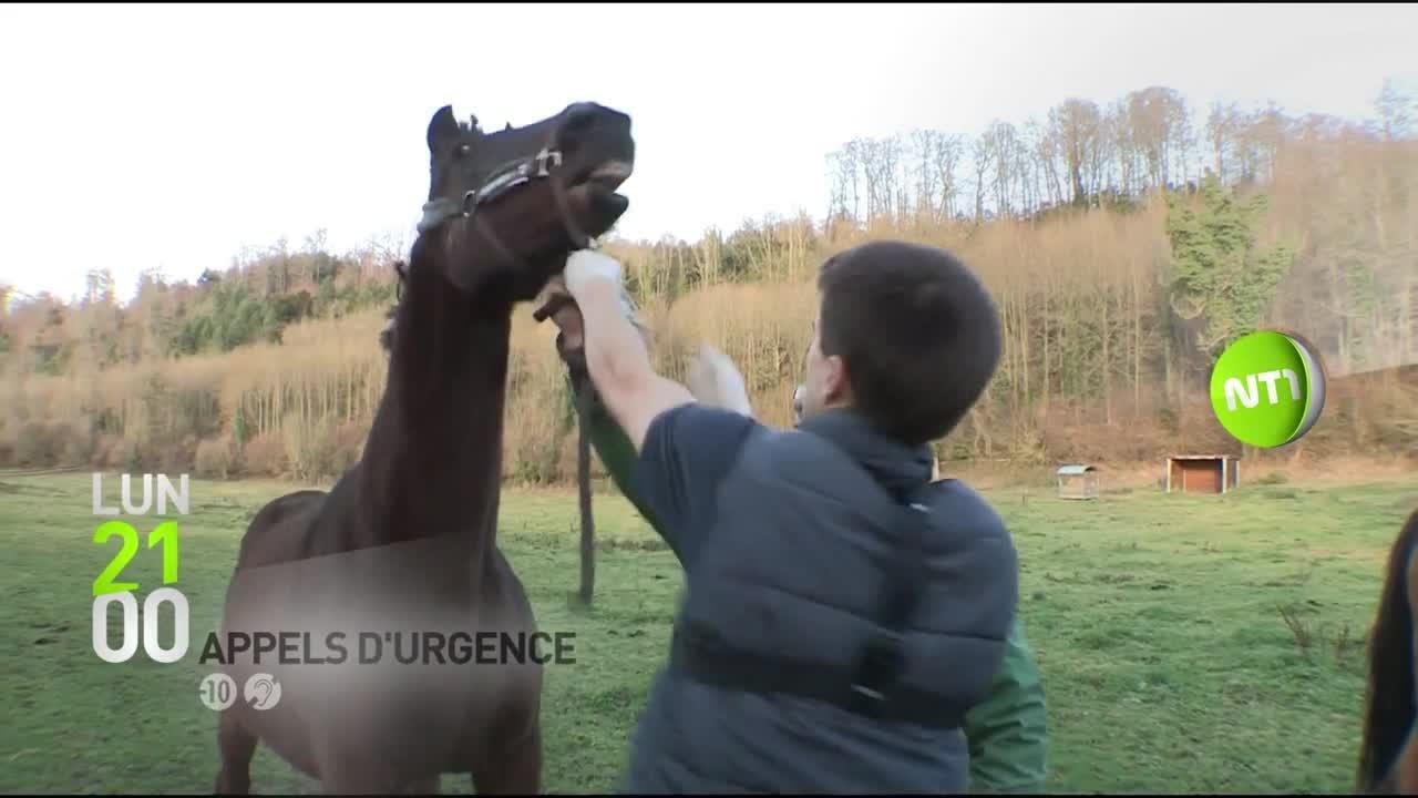 Appels d'urgence