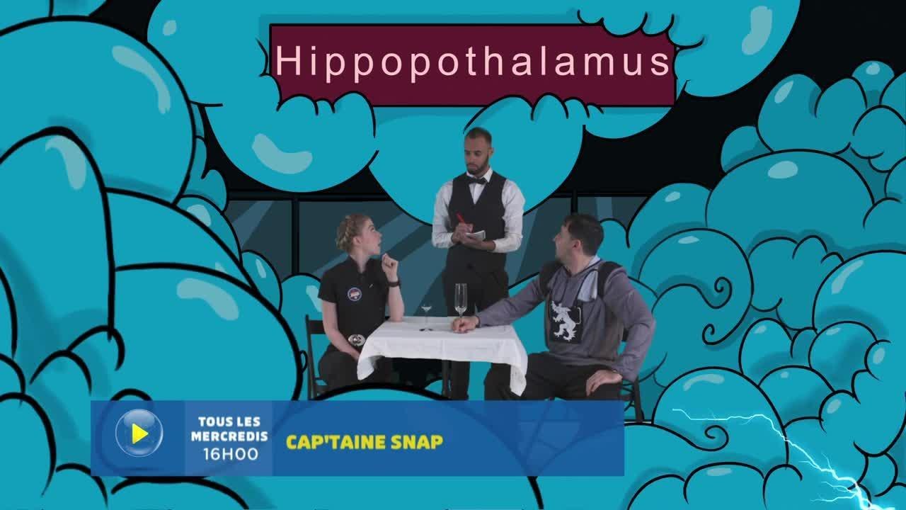 Cap'taine Snap