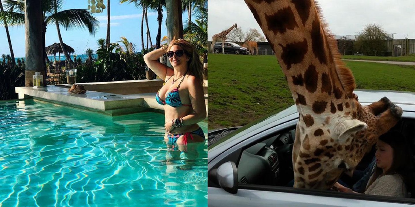 Loana sublime à la piscine, une girafe attaque une voiture... Le Zapping Web