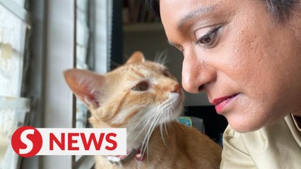 Theatremaker Jo Kukathas sets up post-flood relief fund for families in need