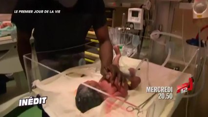 Les grandes histoires