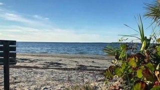 Florida_Beach Tarpon Springs| beach ambience #Floridabeach