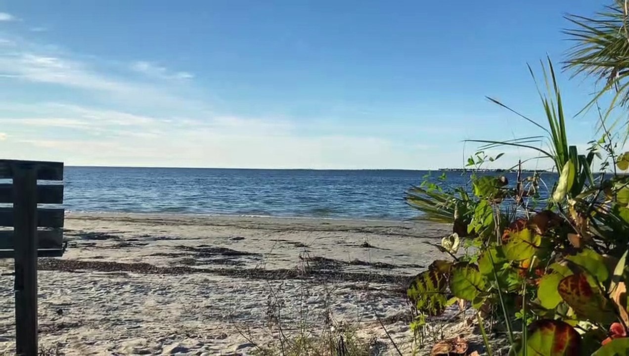 Florida_Beach Tarpon Springs| beach ambience #Floridabeach