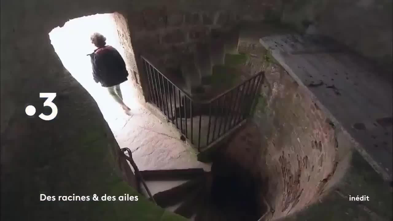 Des racines et des ailes