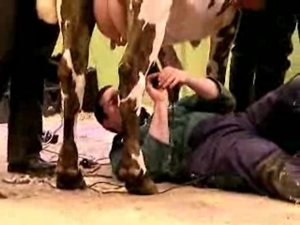 Les Coulisses Du Concours du Salon de l'agriculture