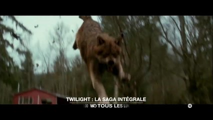 Twilight, chapitre 2 : tentation