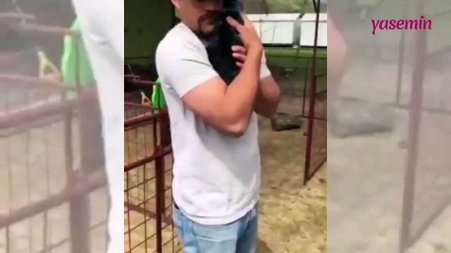 Sarılmak için sıra bekleyen oğlaklar duygulandırdı