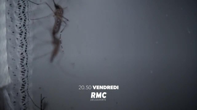 Les dossiers secrets du IIIe Reich