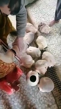 Les talibans décapitent des mannequins féminins en Afghanistan