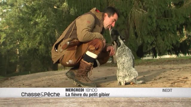 La fièvre du petit gibier