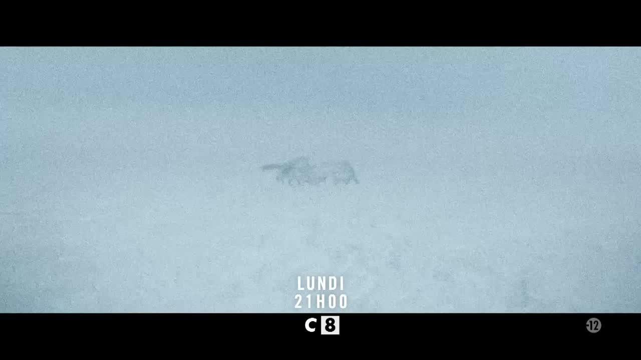 Le territoire des loups