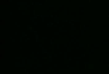 Une hirondelle a fait le printemps - 4 mars