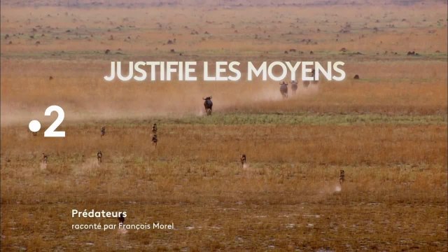 Predateurs - 27 février