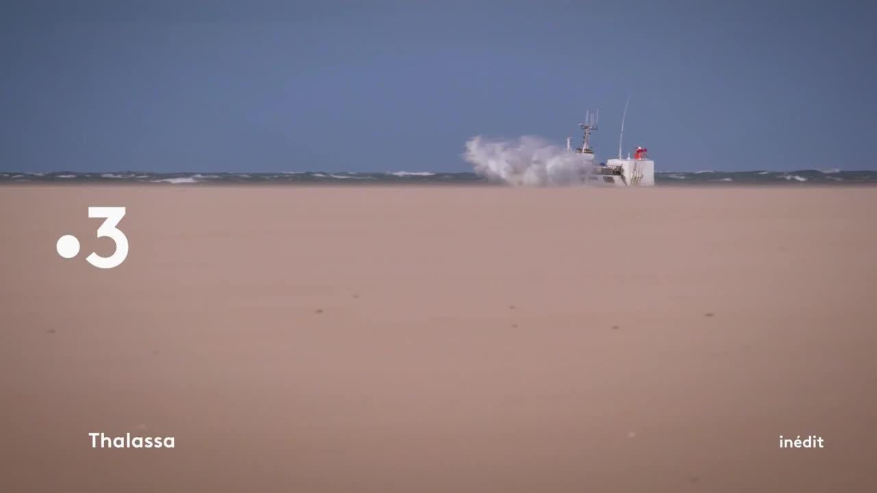 Thalassa - 5 mars