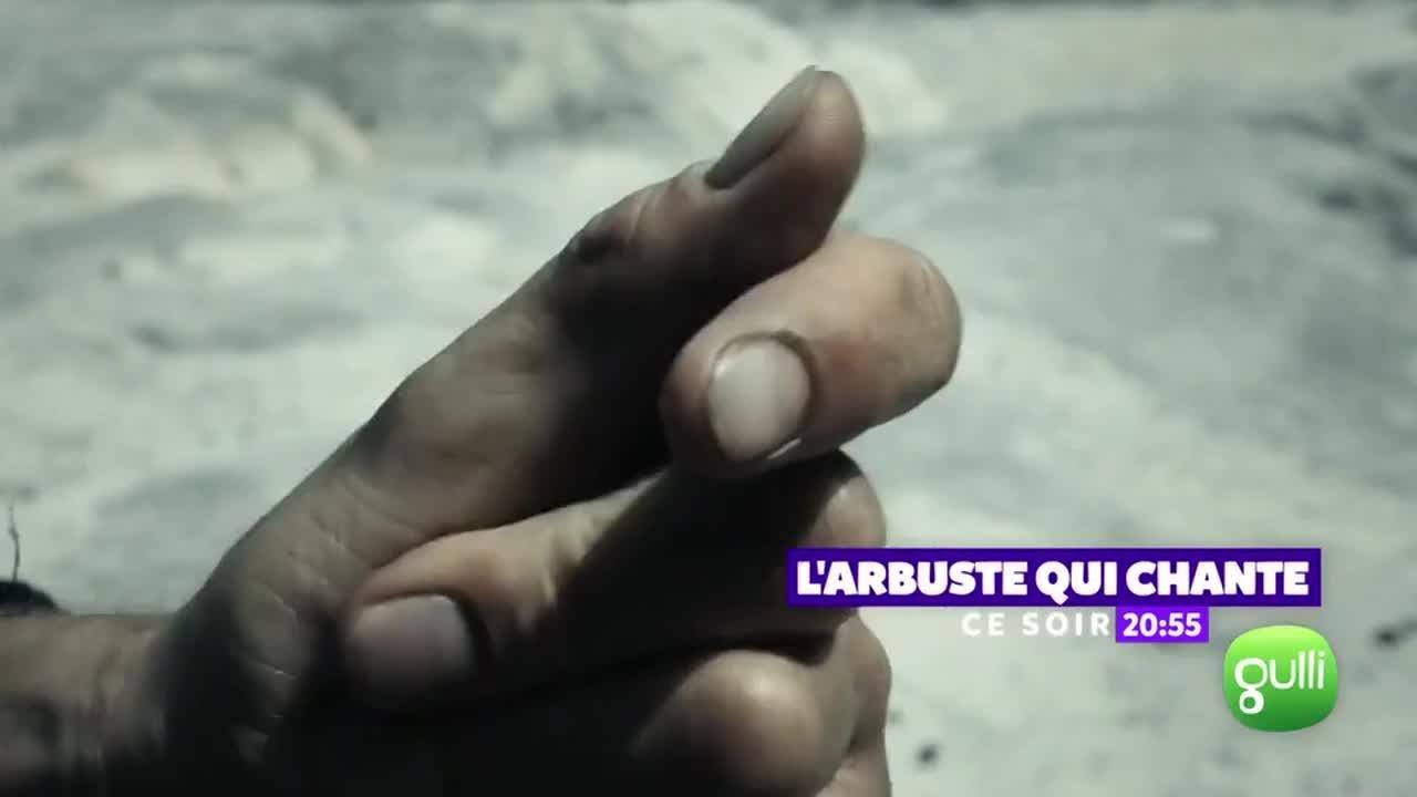 L'arbuste qui chante