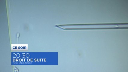 Tous enceintes - 29 janvier