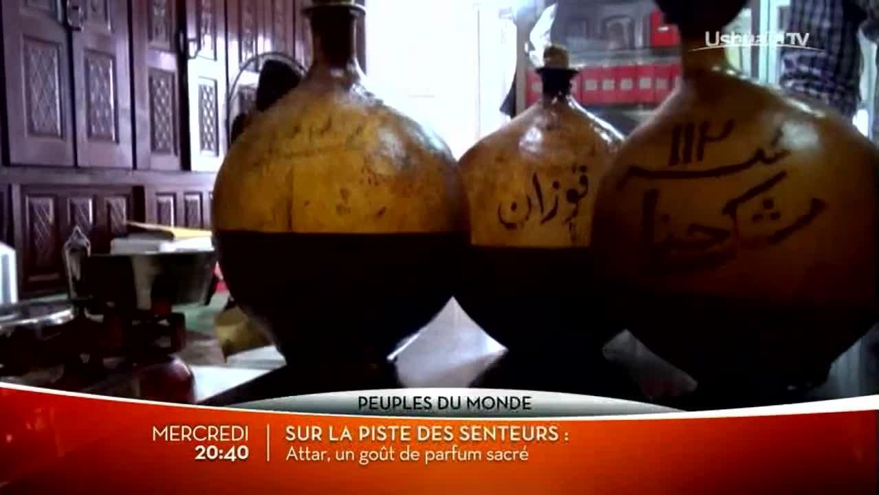 Sur la piste des senteurs