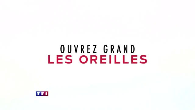 The Voice, la plus belle voix