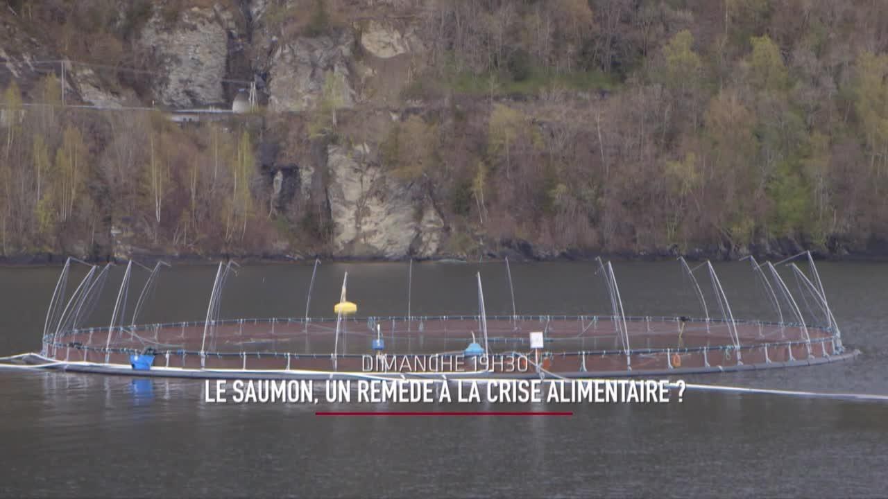 Le mag de la science, hors-série