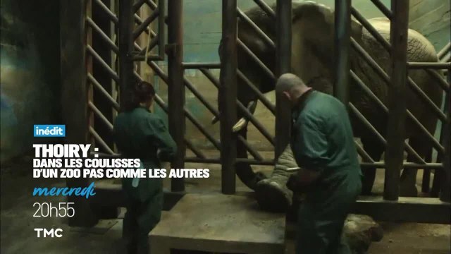 Thoiry : dans les coulisses d'un zoo pas comme les autres