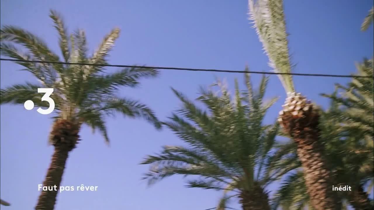 Faut pas rêver - 5 février