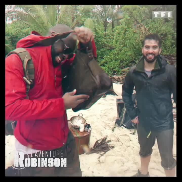 L'aventure Robinson