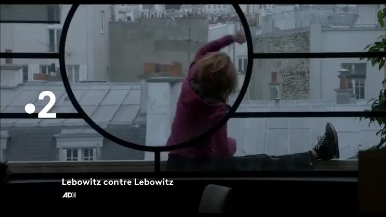 Lebowitz contre Lebowitz