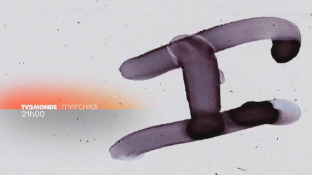 Fais pas ci, fais pas ça, une famille pour la vie