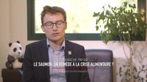 Saumon, un remède à la crise alimentaire ?
