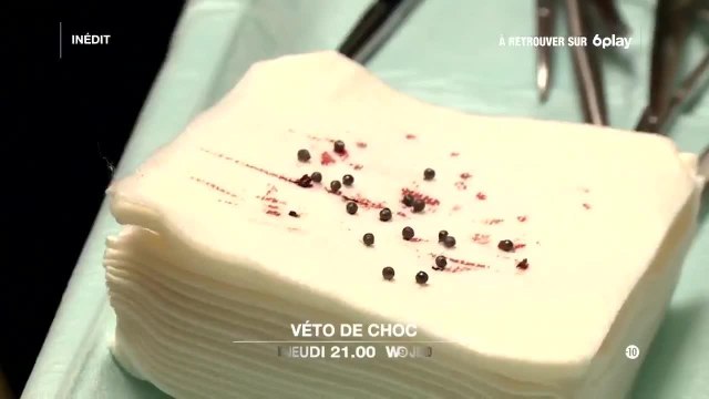 Véto de choc