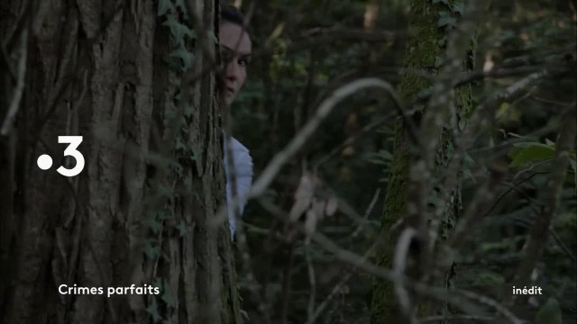 Crimes parfaits - 30 janvier