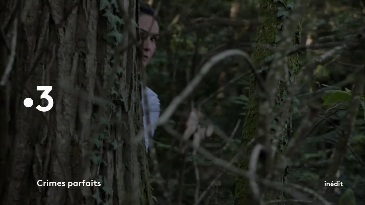 Crimes parfaits - 30 janvier