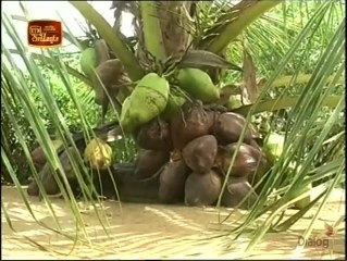 Atapattama 05-01-2022