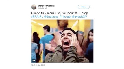 Cruelle désillusion pour les supporters du XV de France après le drop irlandais