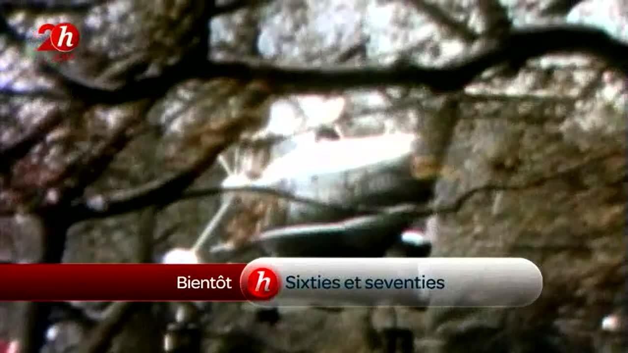 Ex-hôtesse des sixties