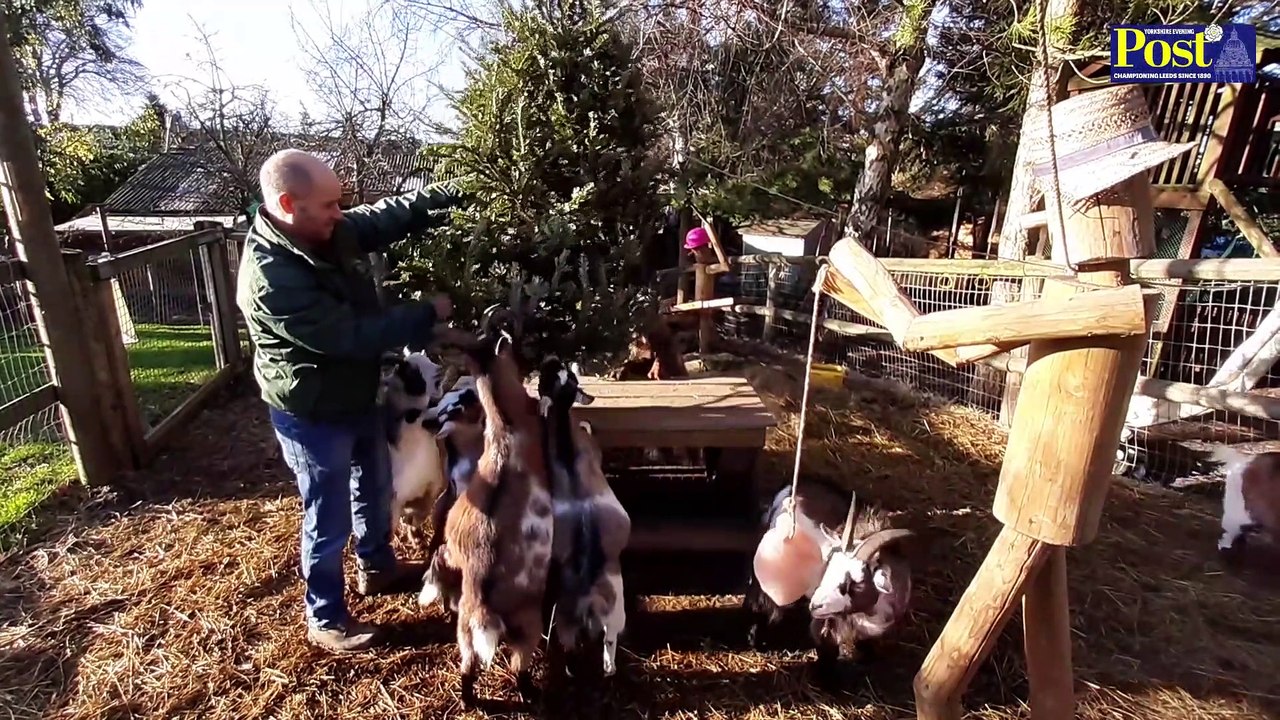Ians Mobile Farm