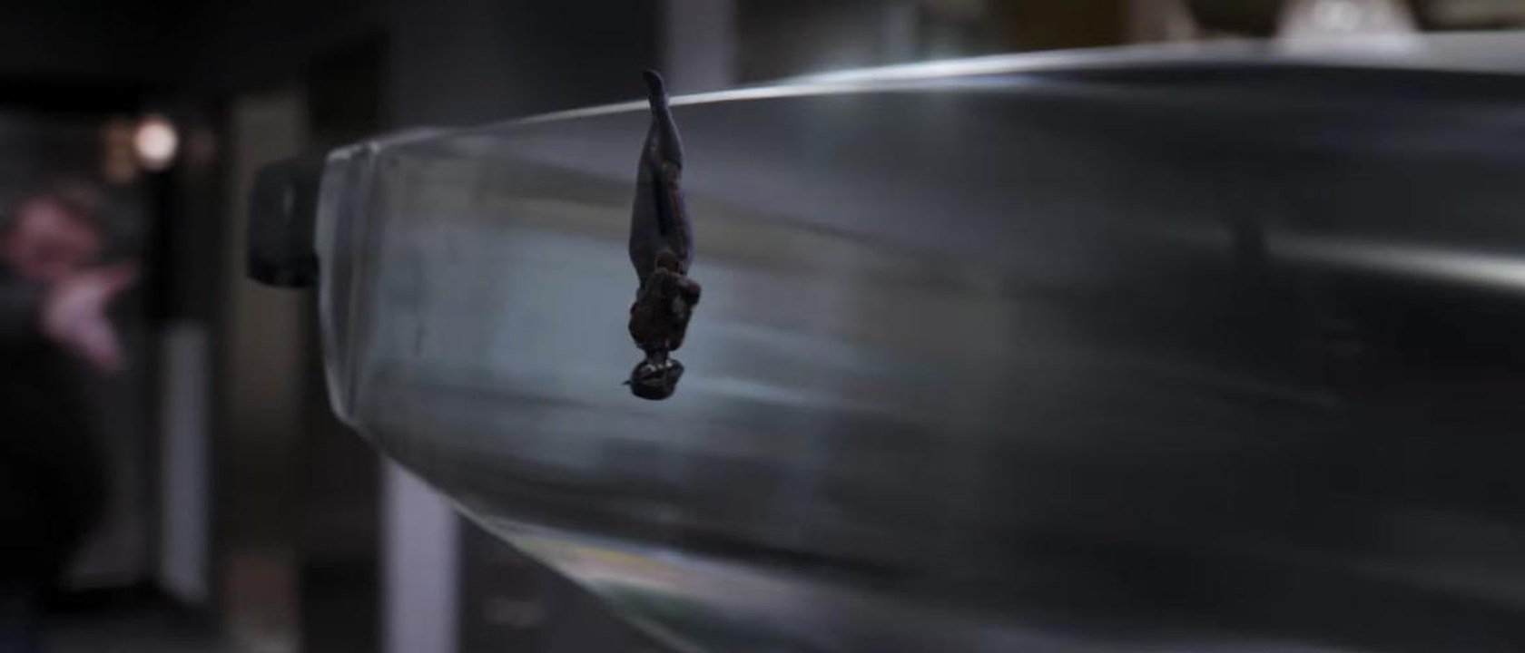 Ant-Man et la Guêpe : Evangeline Lilly fait ses premiers pas de super-héroïne dans la première BA (VOST)