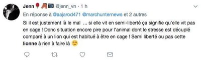 Une lionne en cage sur M6 dans l'émission d'Eric Antoine, les internautes choqués ? (REVUE DE TWEETS)
