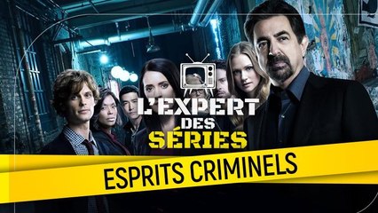 Esprits criminels : une série crédible ?