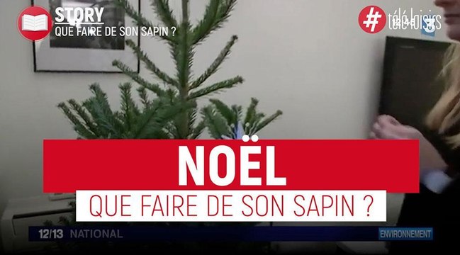 Que faire de son sapin de noël après les fêtes ?