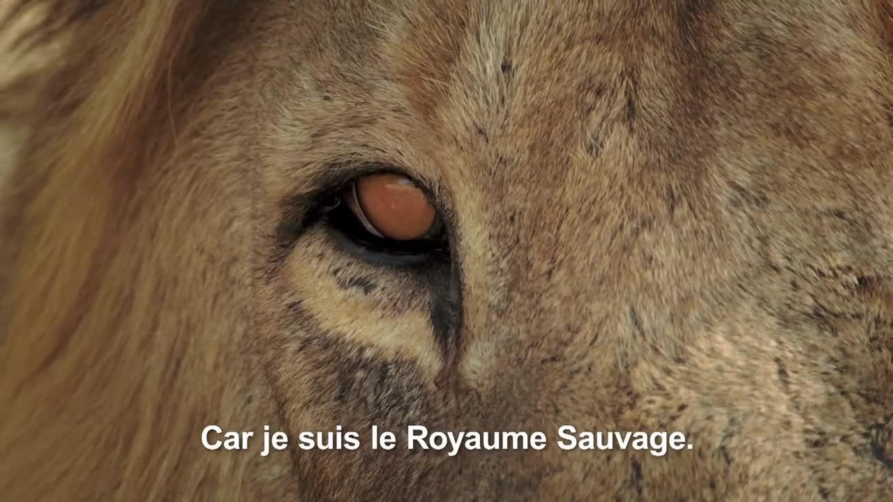 Le royaume sauvage