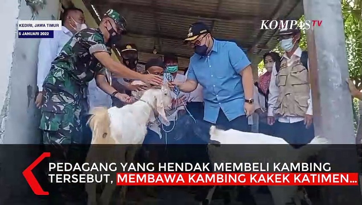Kakek Ini Ditipu dan Kehilangan Seekor Kambing, Kisahnya Viral dan Dapat Hadiah Dua Ekor Kambing