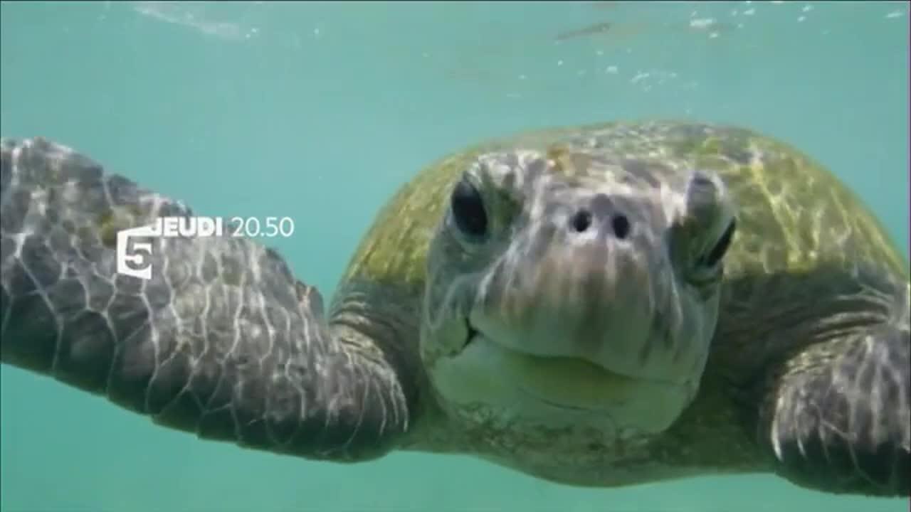 Sri Lanka, l'île émeraude