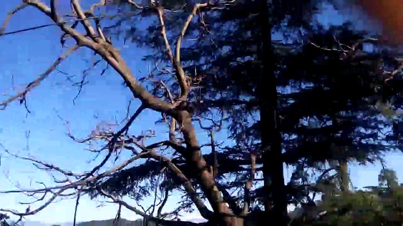 Visiting to Shimla to Manali. It`s an  Adventure !
