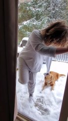 Dog Demands To Play Outside