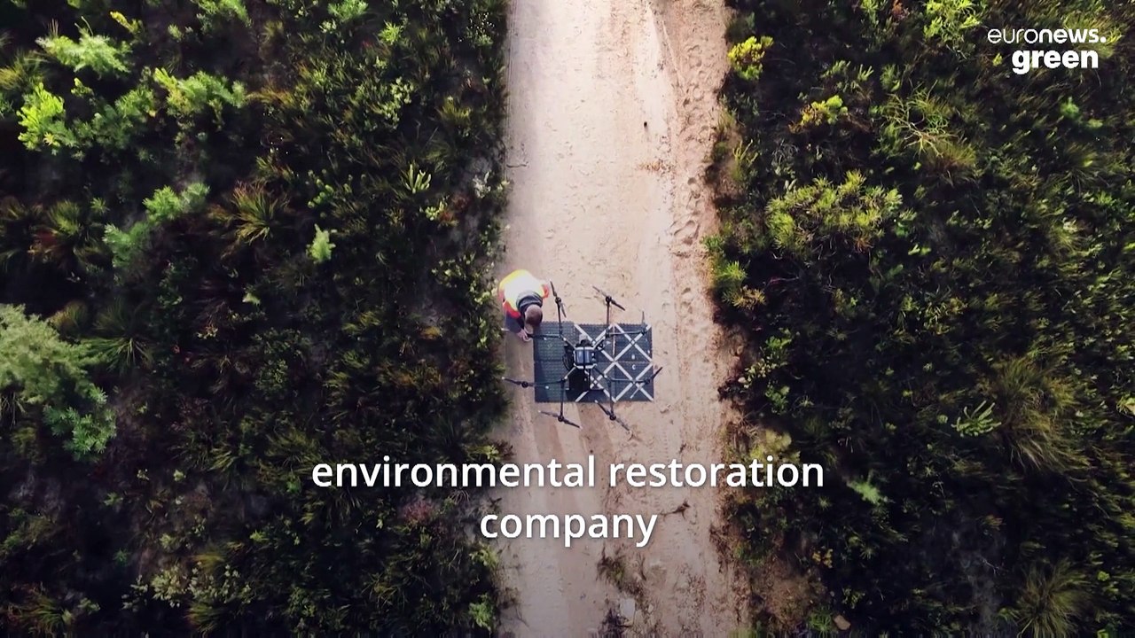 These seed-firing drones are planting 40,000 trees every day to fight deforestation