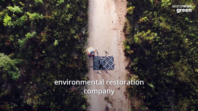 These seed-firing drones are planting 40,000 trees every day to fight deforestation