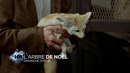 L'arbre de Noël
